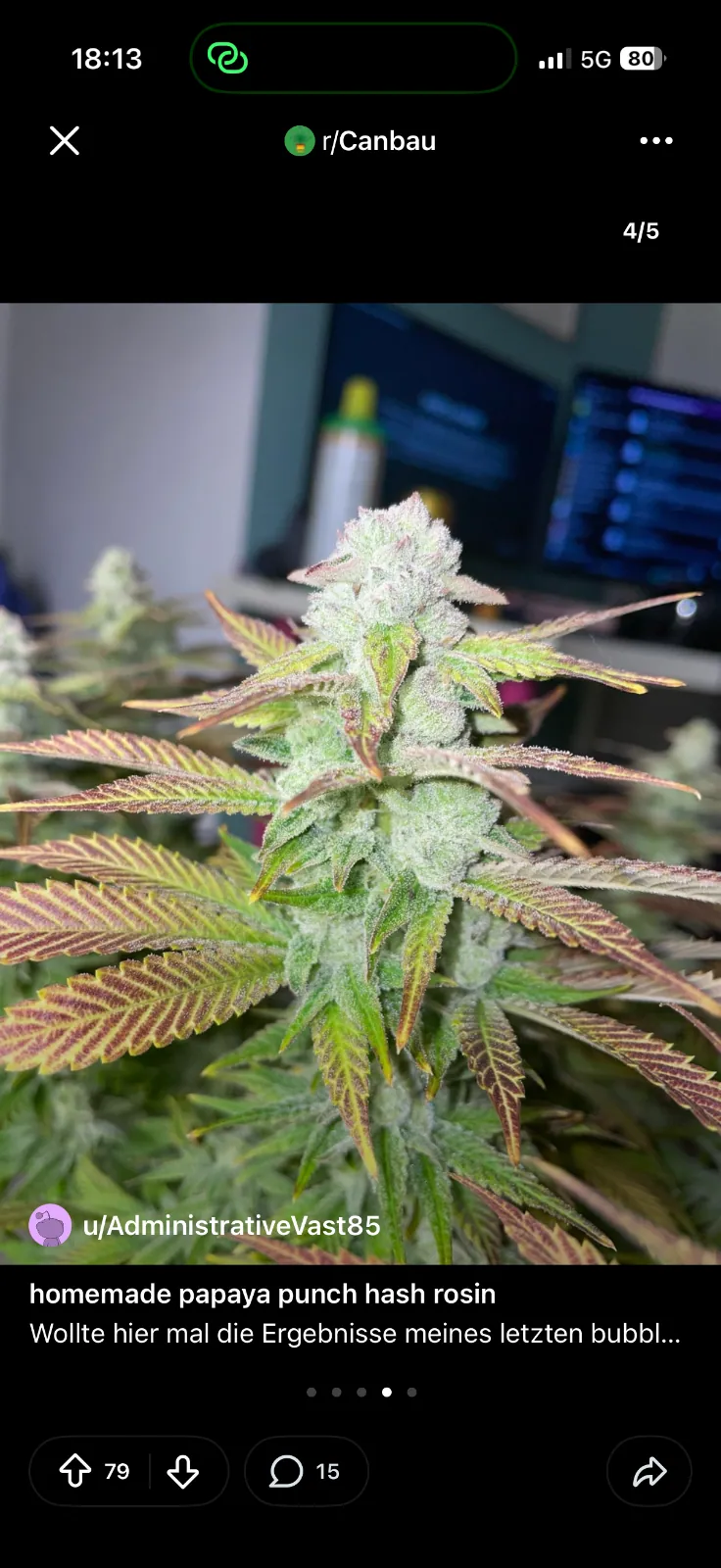 Oreoz Erfahrungsbericht