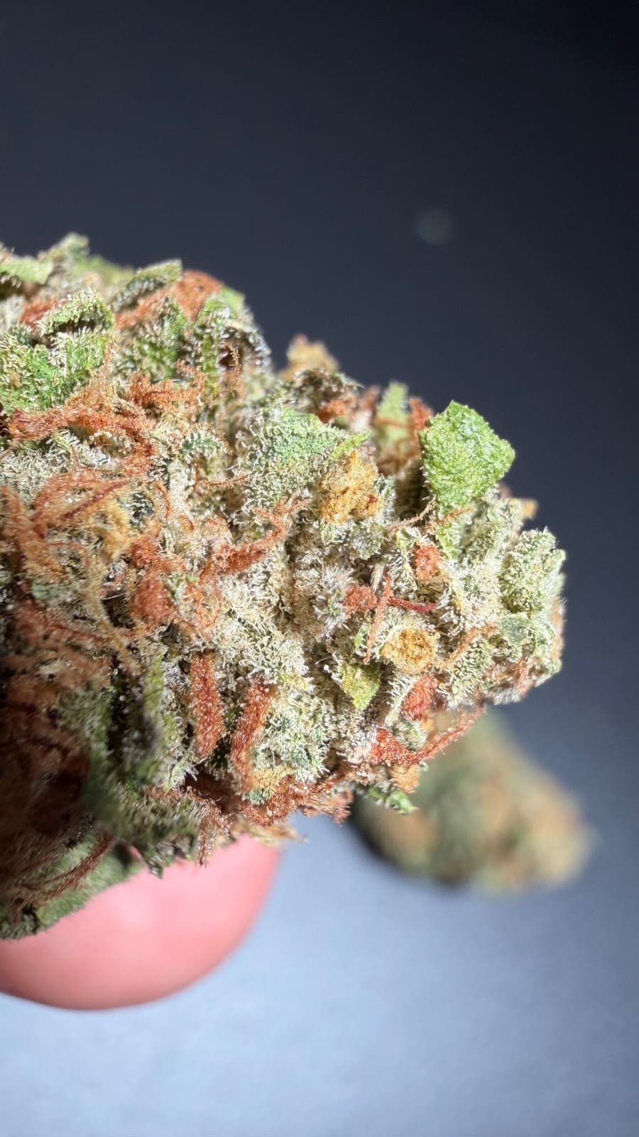 Wedding Cake aka Triangle Mints #23 (Original Portland Cut) Erfahrungsbericht