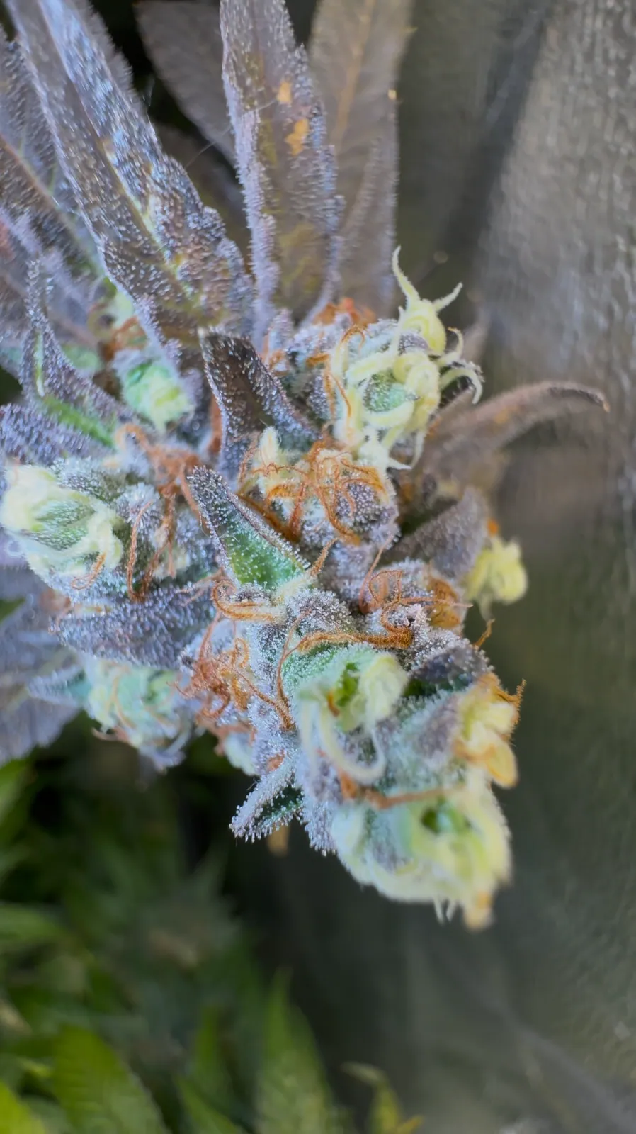 Permanent Marker Erfahrungsbericht